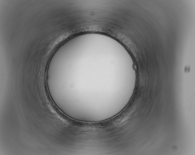 X0000097600625200803141917