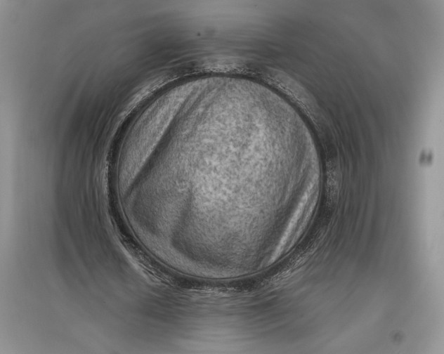 X0000097600626200803141917