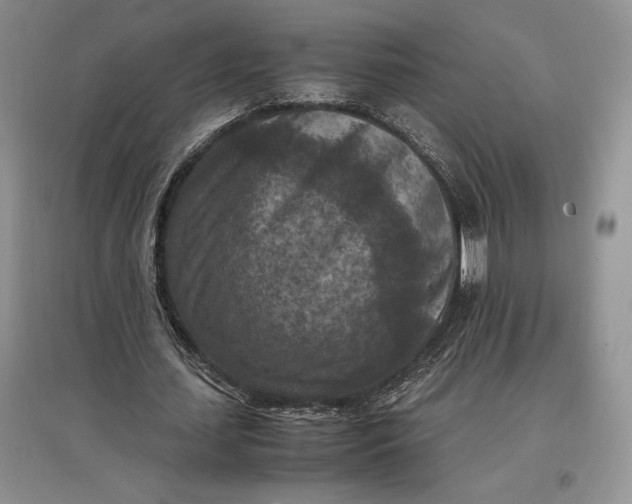 X0000097600627200803141917