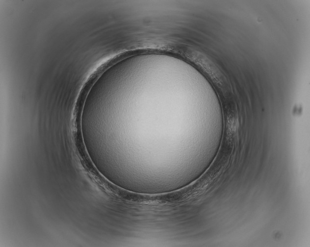 X0000097600628200803141917