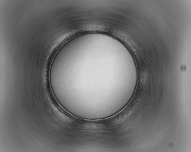 X0000097600629200803141917