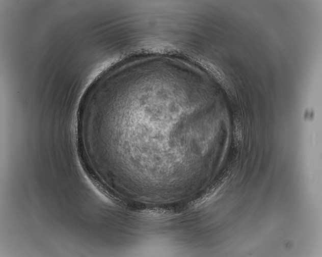 X0000097600630200803141917