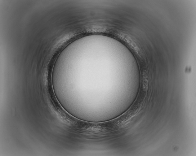X0000097600631200803141917