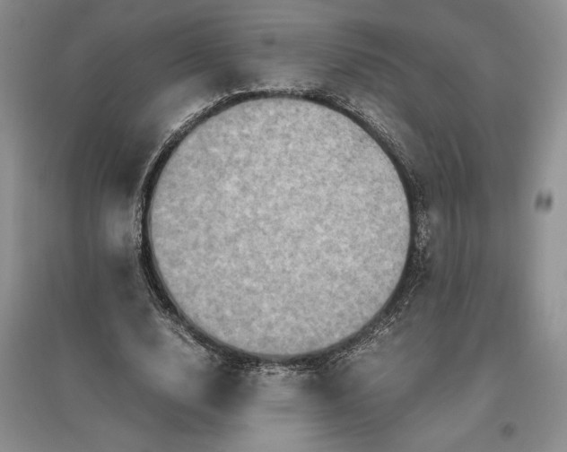 X0000097600632200803141917