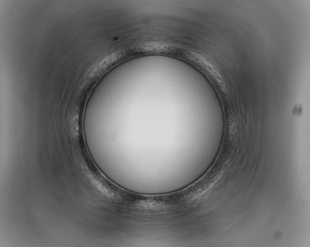 X0000097600633200803141917