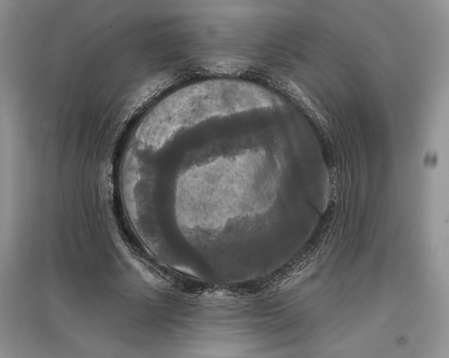 X0000097600634200803141917