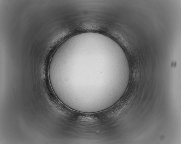 X0000097600635200803141917