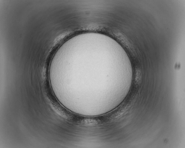X0000097600636200803141917