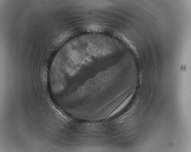 X0000097600637200803141917