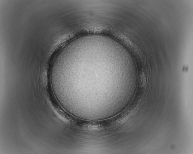 X0000097600638200803141917