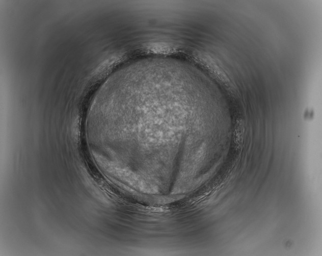 X0000097600639200803141917