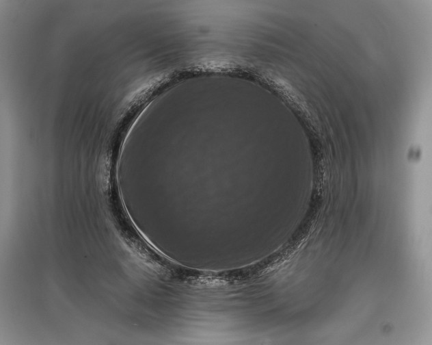 X0000097600640200803141917