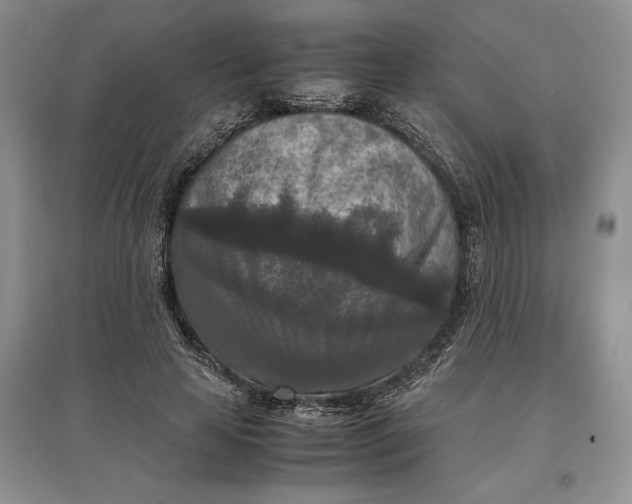 X0000097600641200803141917