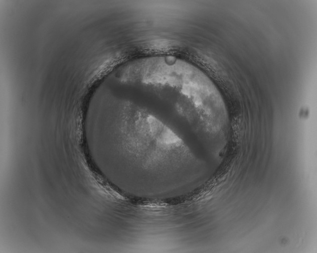 X0000097600642200803141917