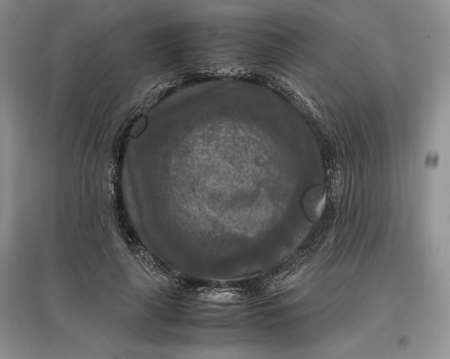 X0000097600643200803141917