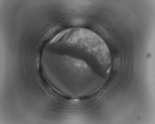 X0000097600644200803141917