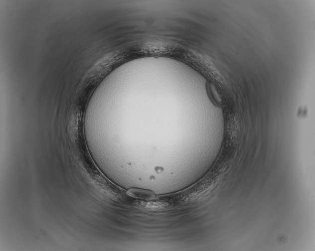X0000097600645200803141917