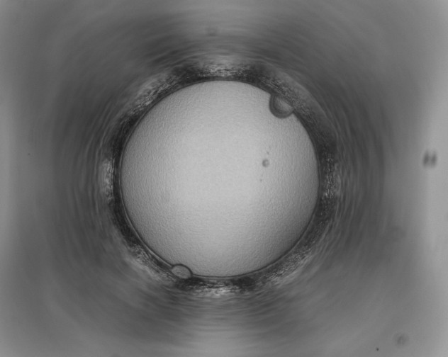 X0000097600646200803141917