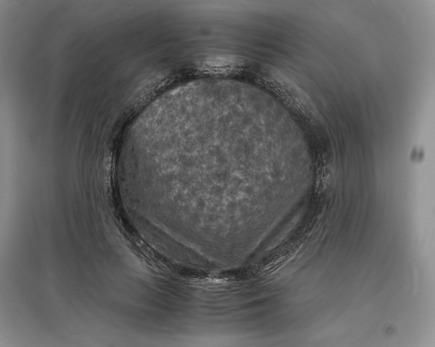 X0000097600647200803141917