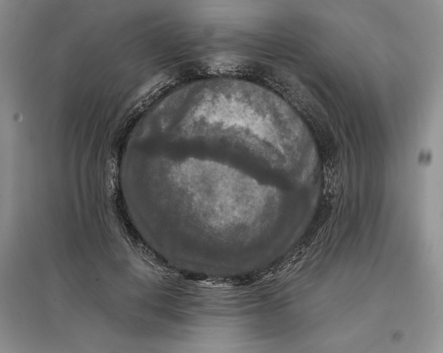 X0000097600648200803141917