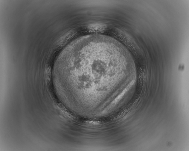 X0000097600649200803141917