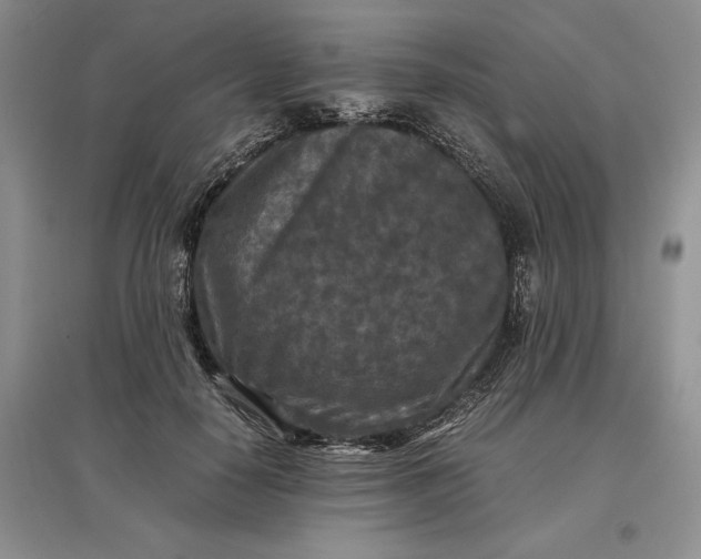X0000097600650200803141917