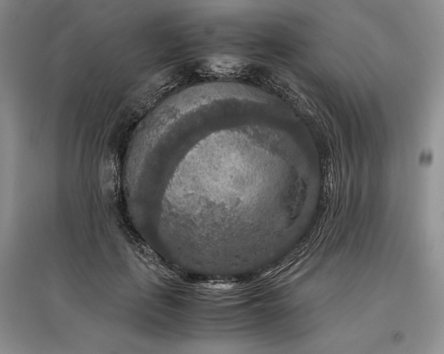 X0000097600651200803141917
