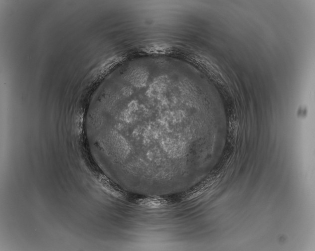 X0000097600652200803141917