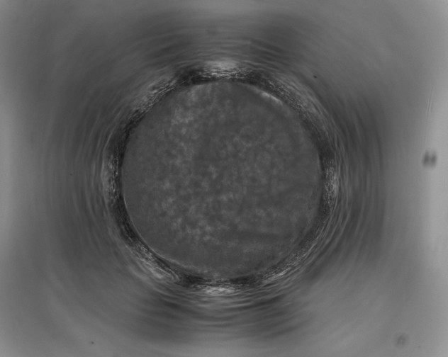X0000097600653200803141918