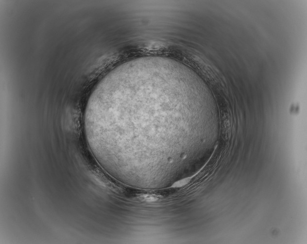 X0000097600654200803141918