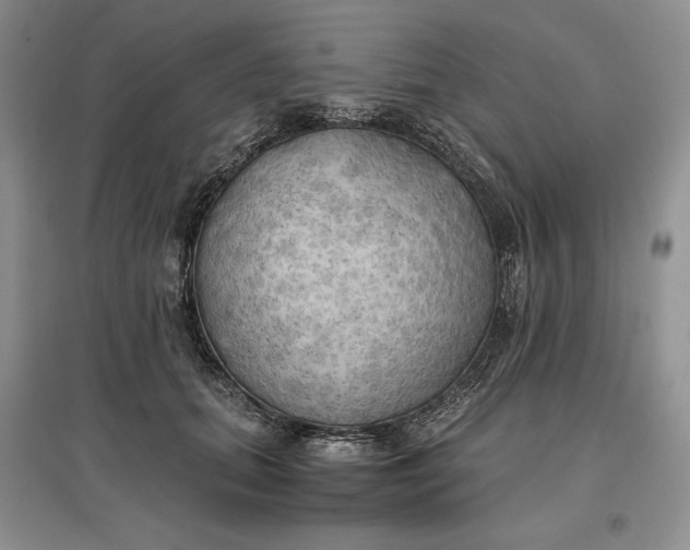 X0000097600655200803141918