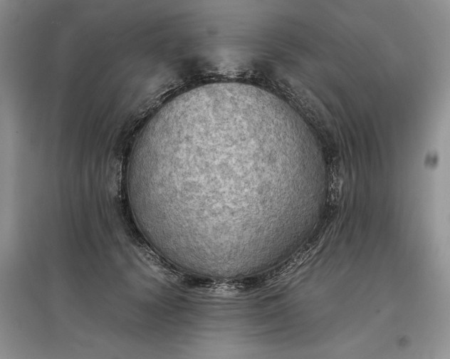 X0000097600656200803141918
