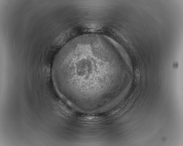 X0000097600657200803141918