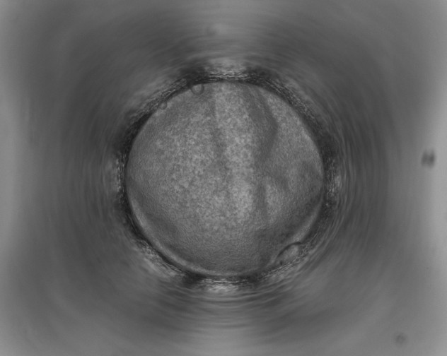 X0000097600658200803141918