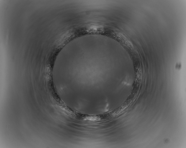 X0000097600659200803141918