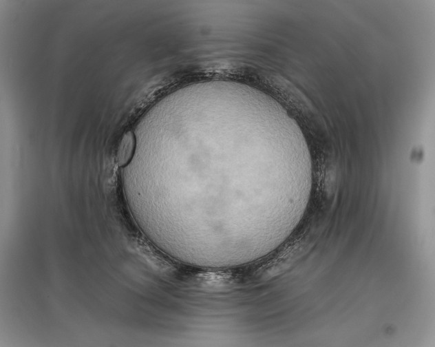 X0000097600660200803141918
