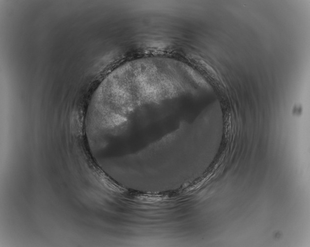 X0000097600661200803141918