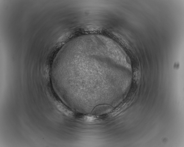 X0000097600662200803141918