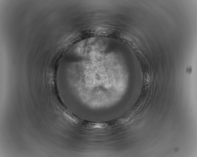 X0000097600663200803141918