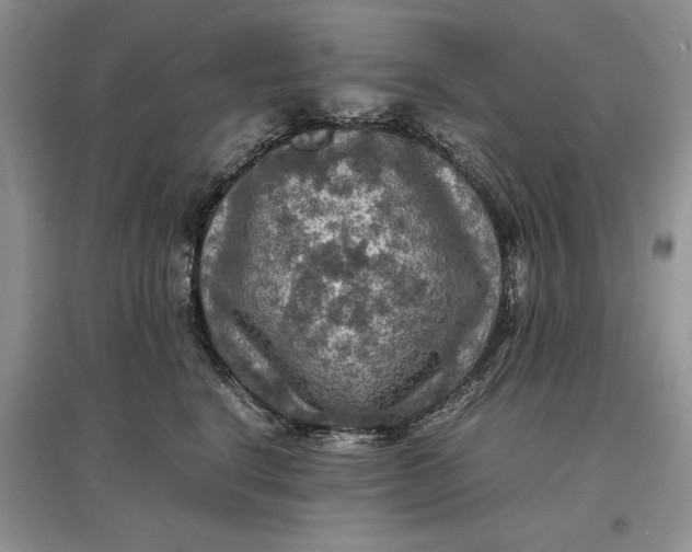 X0000097600664200803141918