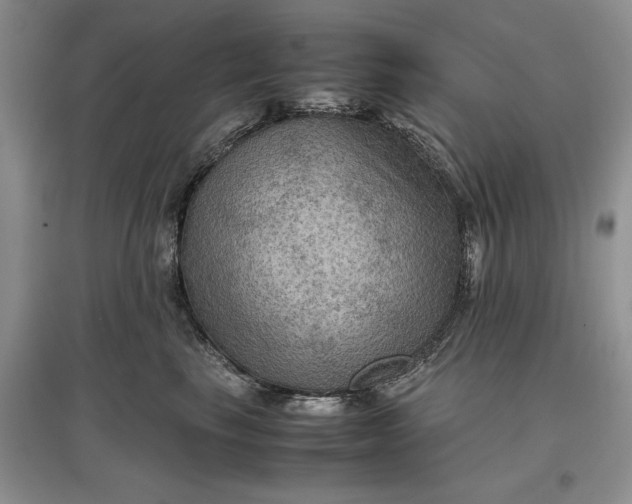 X0000097600665200803141918