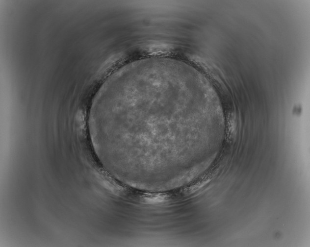 X0000097600667200803141918