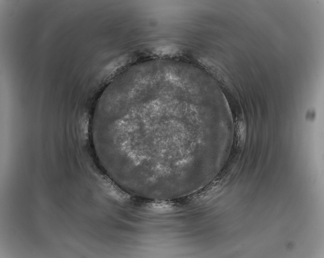 X0000097600668200803141918