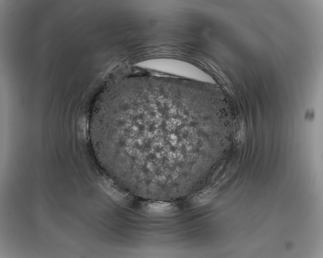 X0000097600669200803141918