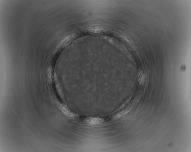 X0000097600670200803141918