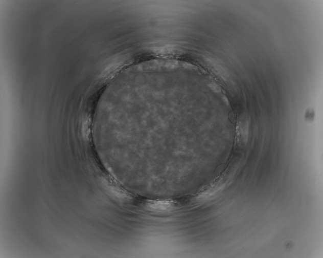 X0000097600671200803141918