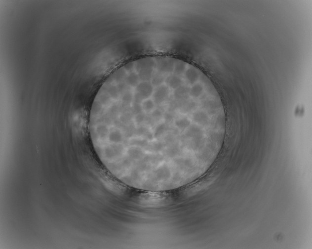 X0000097600672200803141918