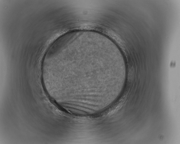 X0000097600673200803141917