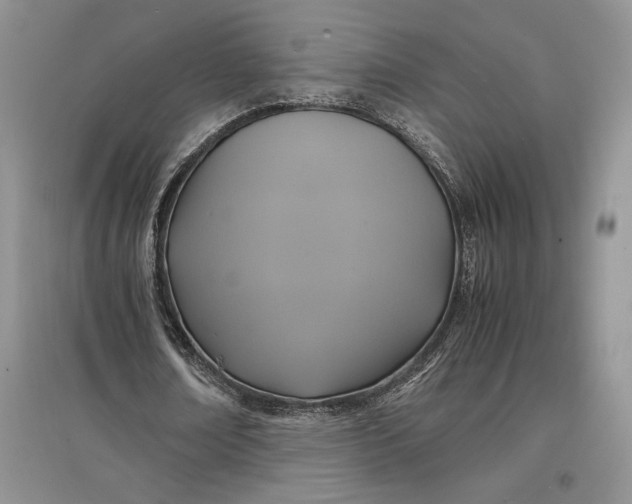 X0000097600674200803141917