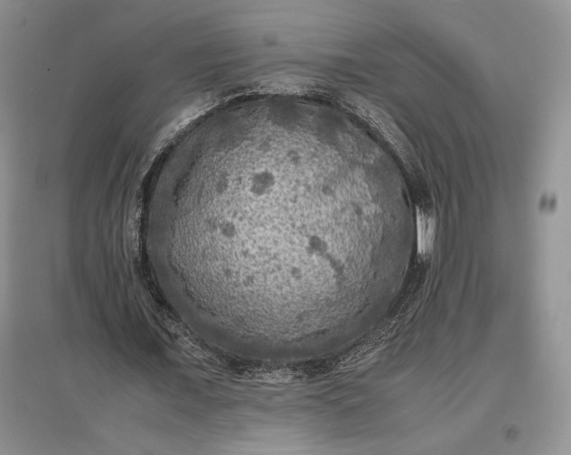 X0000097600675200803141917